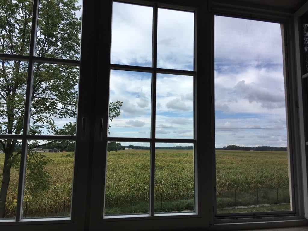Duże okno z widokiem na łąkę podlaską z jednej ze stron ośrodka