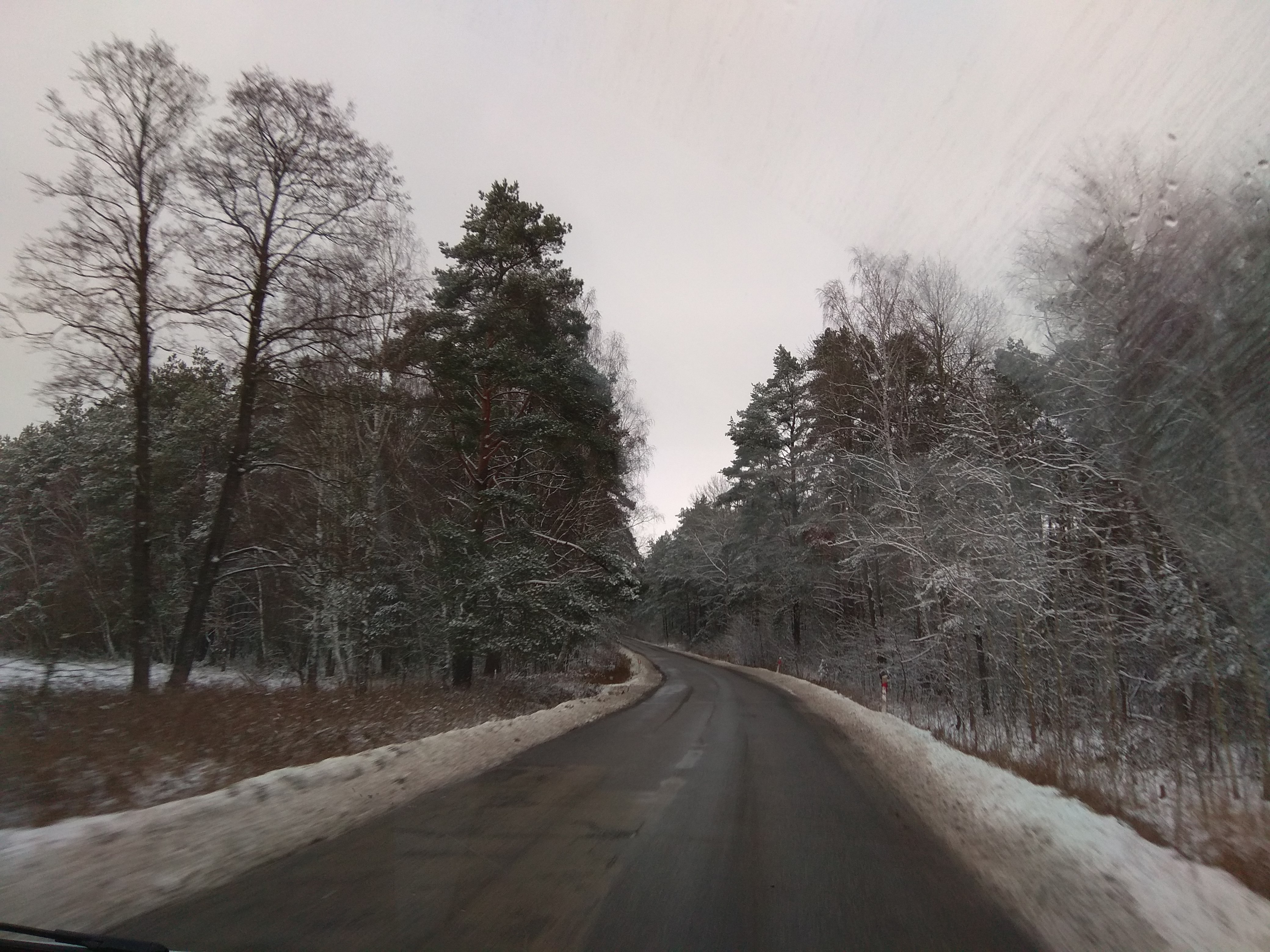 W drodze do Warszawy – droga z zaśnieżonym poboczem i licznymi, lekko ośnieżonymi wysokimi drzewami.