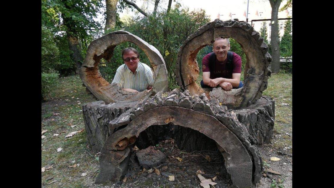 W ogrodzie botanicznym, dwaj panowie wkomponowani w konstrukcję z wydrążonych, położonych pni drzew